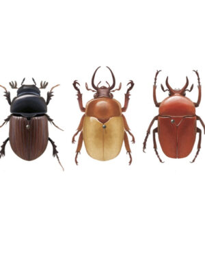 Libro Charles Darwin. Autobiografía - Editorial Nórdica