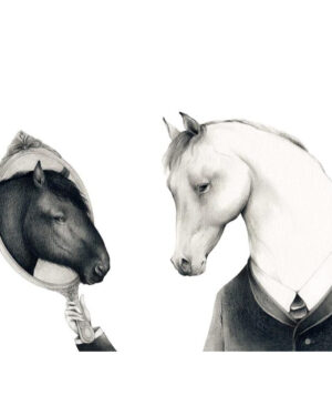 Libro La Selección Natural - Charles Darwin - Editorial Nórdica