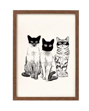 Three Cats