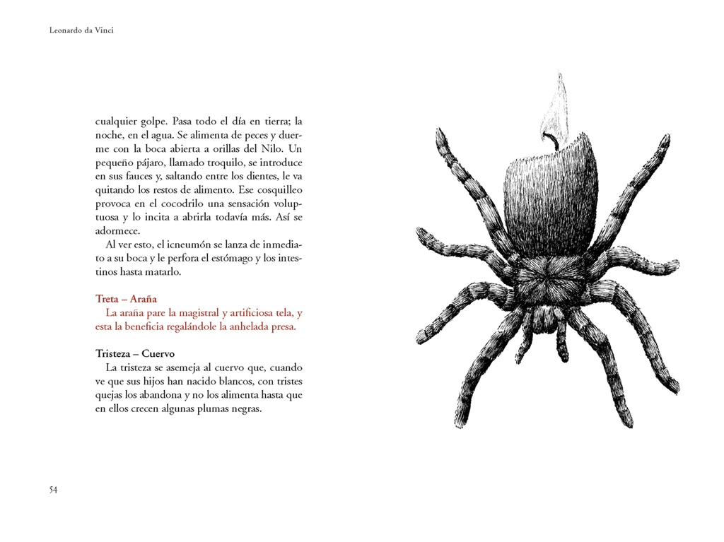 interior_bestiario_031-021636792b00e7047f16067618709973-102